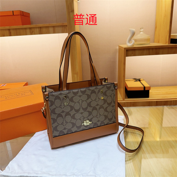 Coach small bag-0612