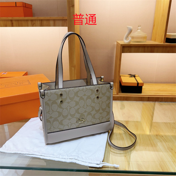 Coach small bag-0613