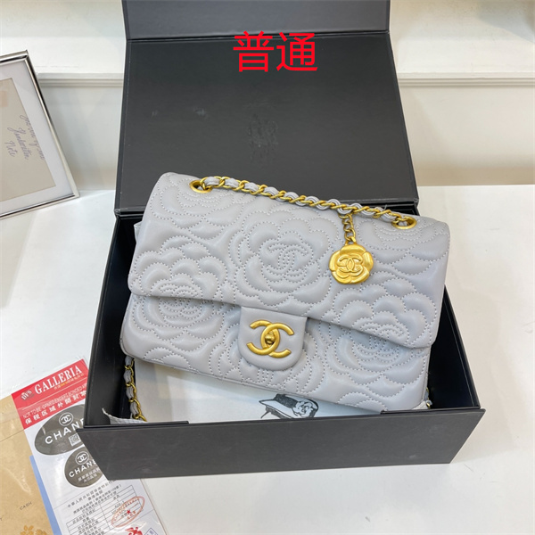 Chanel bag-0350