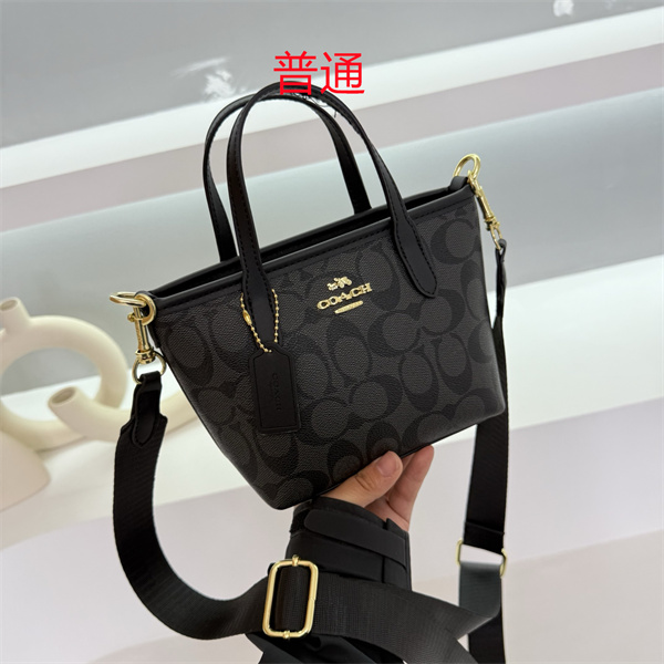 Coach small bag-0650