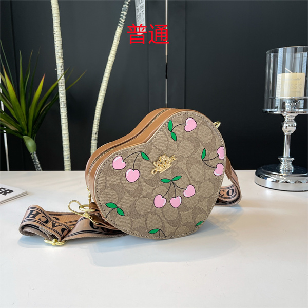 Coach small bag-0660