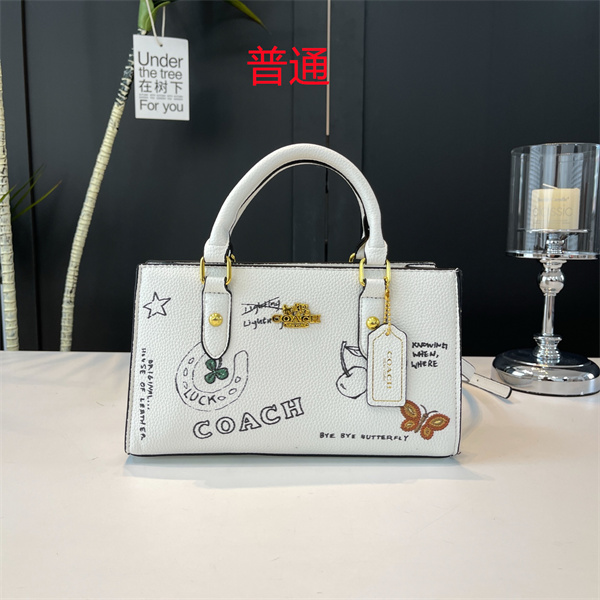 Coach small bag-0698