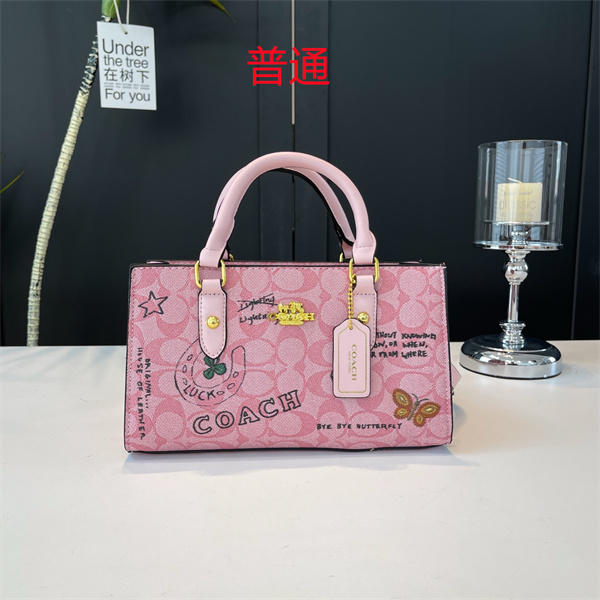 Coach small bag-0699