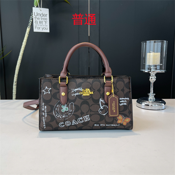 Coach small bag-0700
