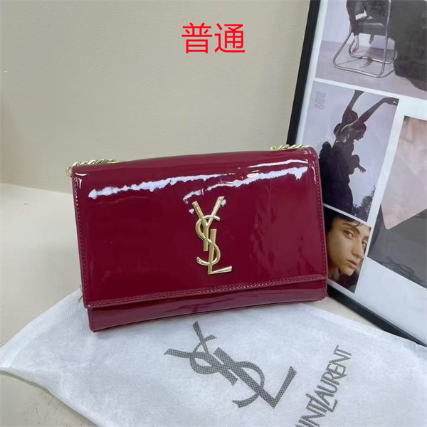 YSL small bag-0399