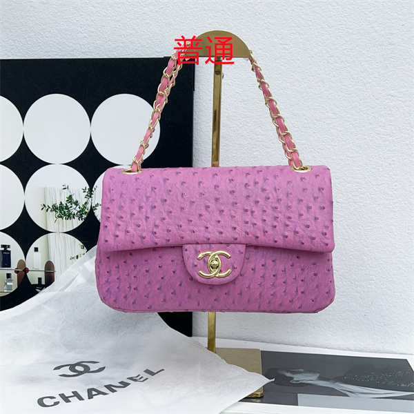 Chanel small bag-0355