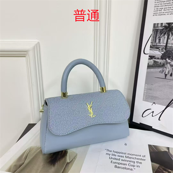 YSL small bag-0421