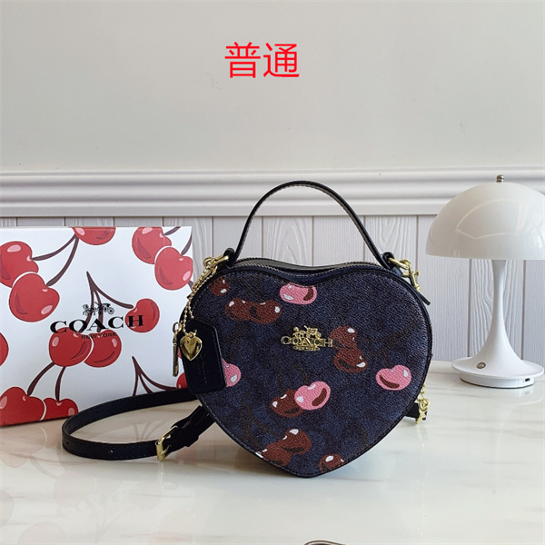 Coach small bag-0755