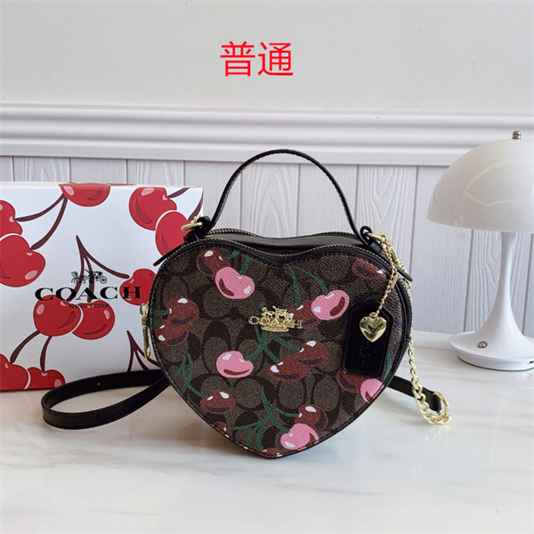 Coach small bag-0756