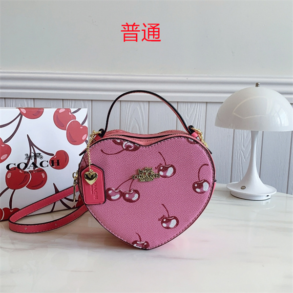 Coach small bag-0758