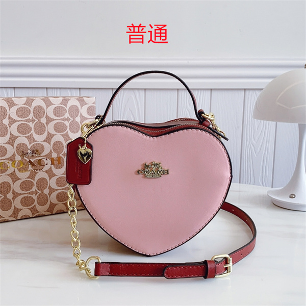 Coach small bag-0768