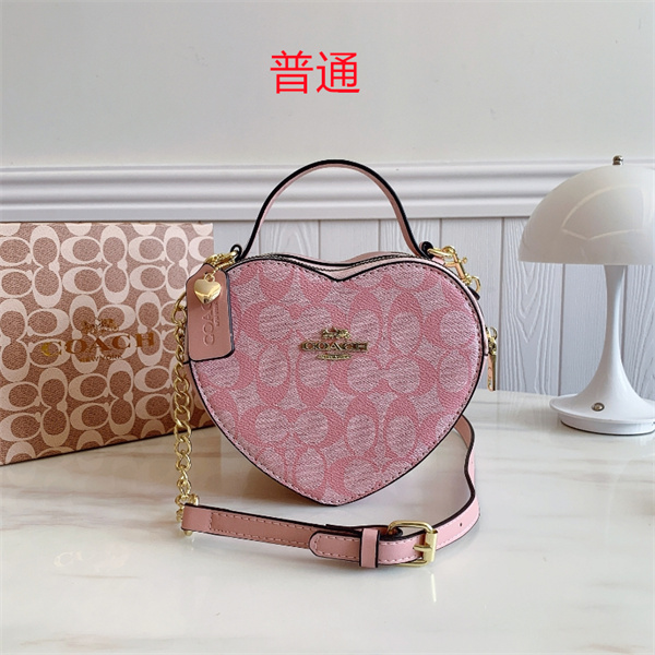 Coach small bag-0773