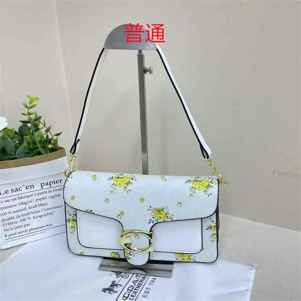 Coach small bag-0793