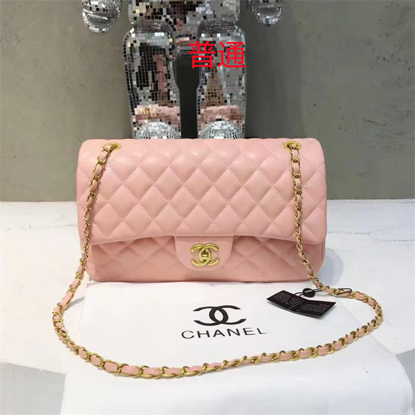 Chanel small bag-0438