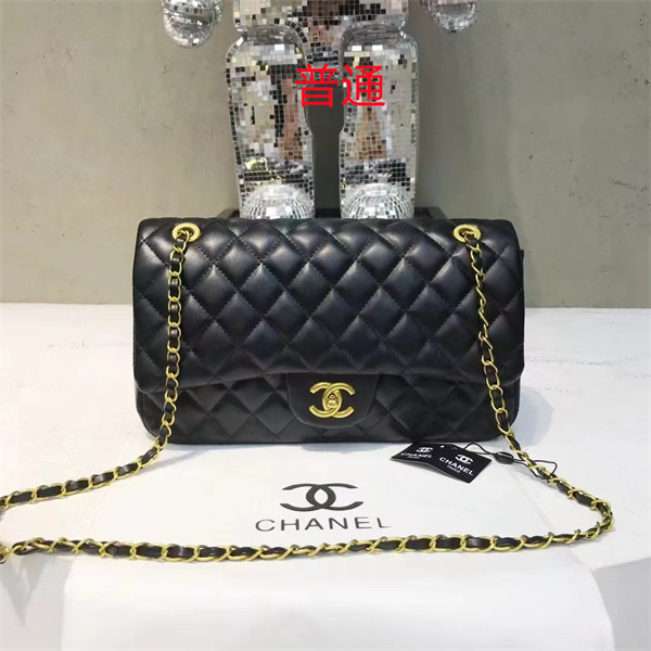 Chanel small bag-0445