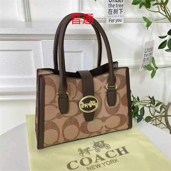 Coach small bag-0825
