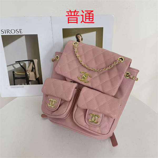 Chanel small bag-0470