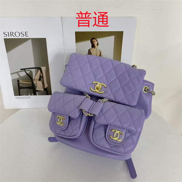 Chanel small bag-0474