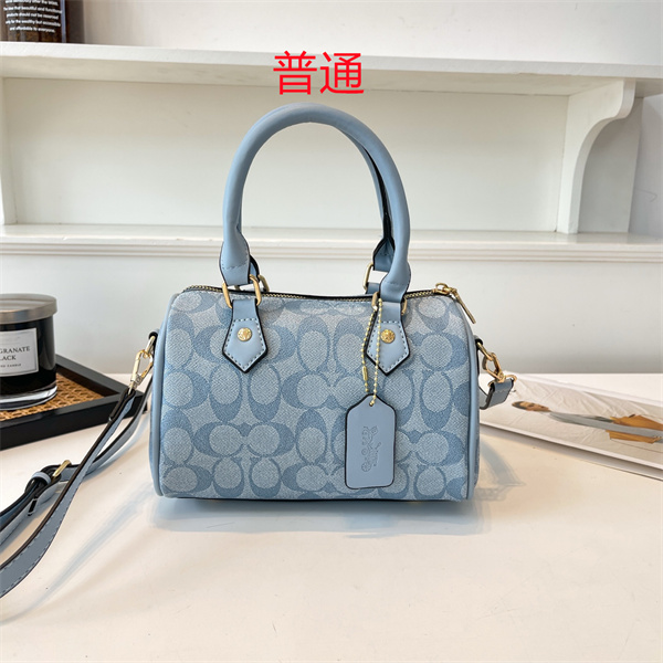 Coach small bag-0839