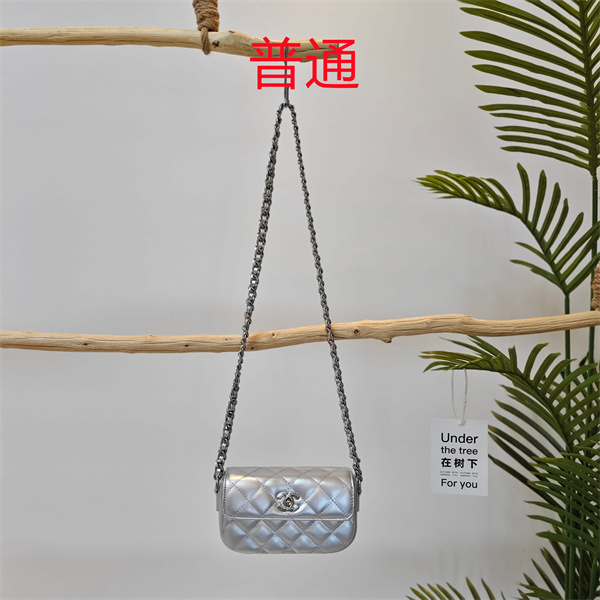 Chanel small bag-0476