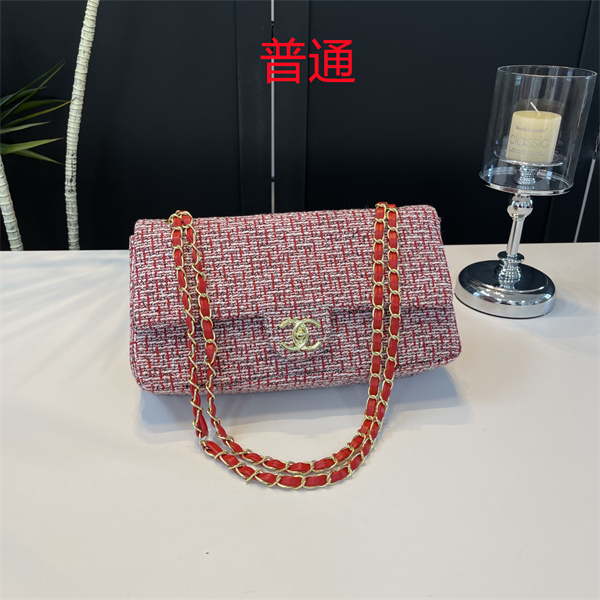 Chanel small bag-0480