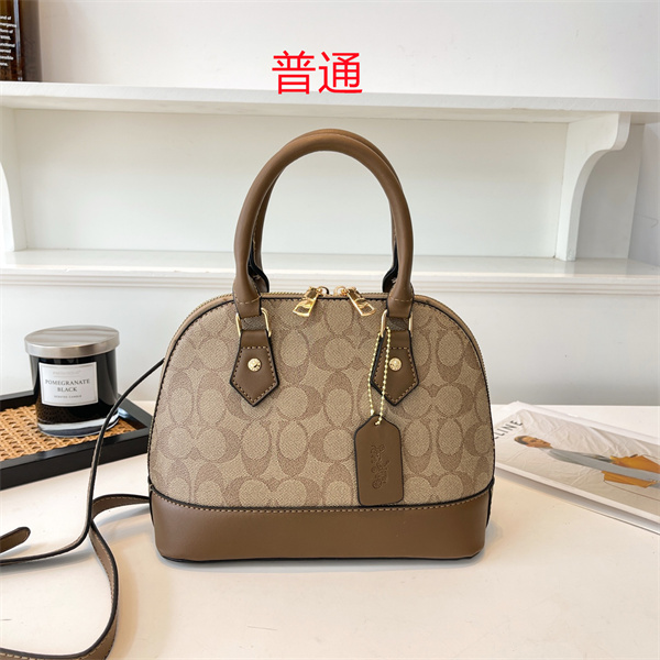 Coach small bag-0847