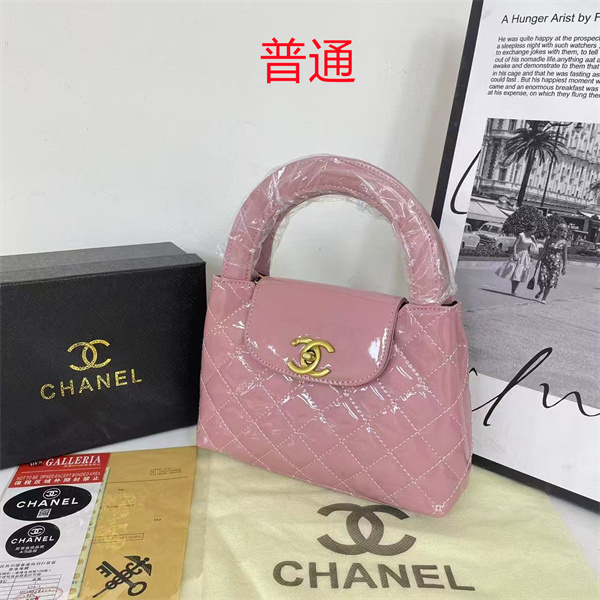 Chanel small bag-0497