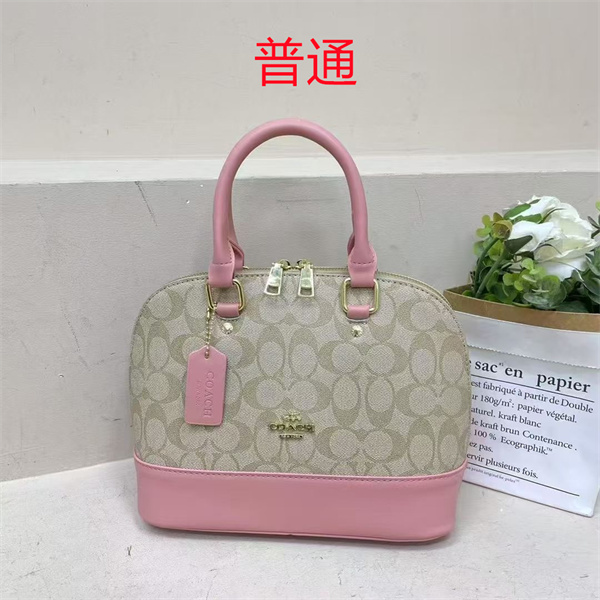 Coach small bag-0868