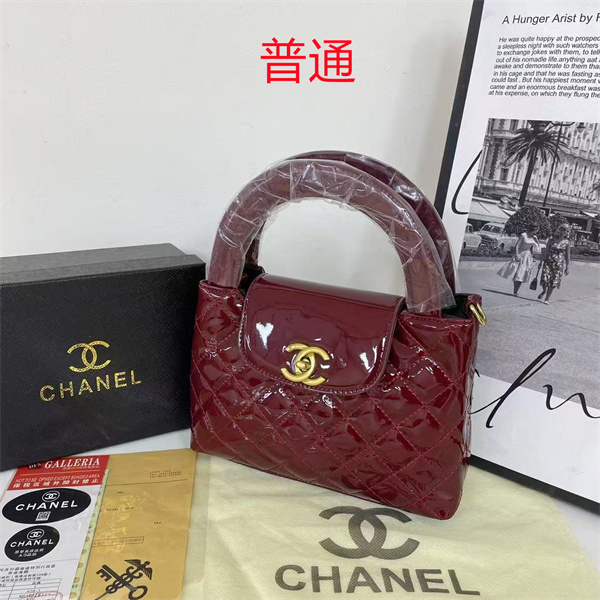 Chanel small bag-0499