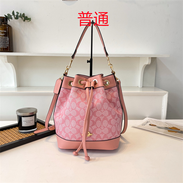 Coach small bag-0875