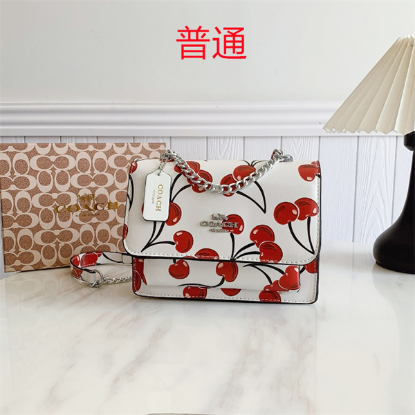 Coach small bag-0896