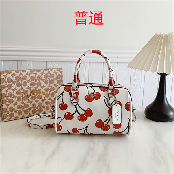 Coach small bag-0899