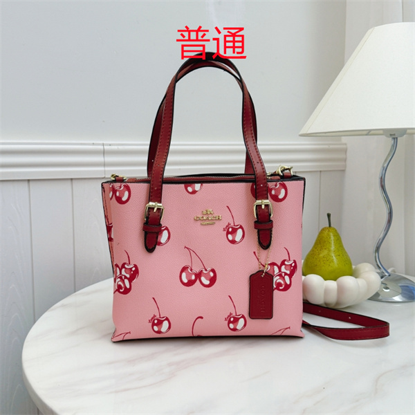 Coach small bag-0910