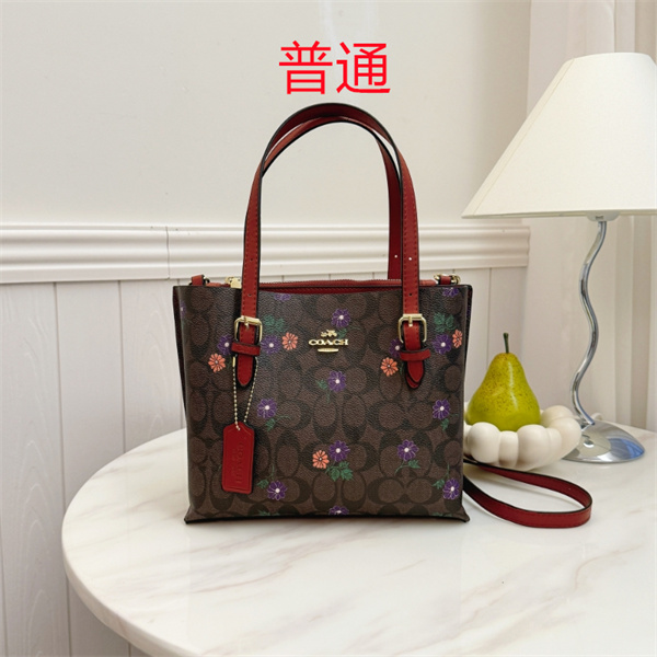 Coach small bag-0913