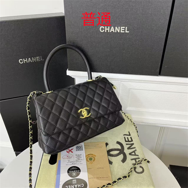 Chanel small bag-0550