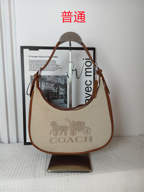 Coach small bag-0927