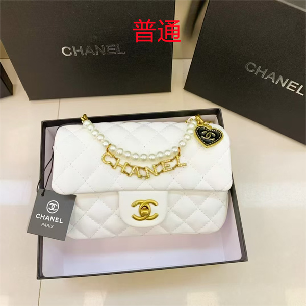 Chanel small bag-0560