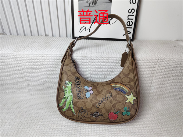 Coach small bag-0936