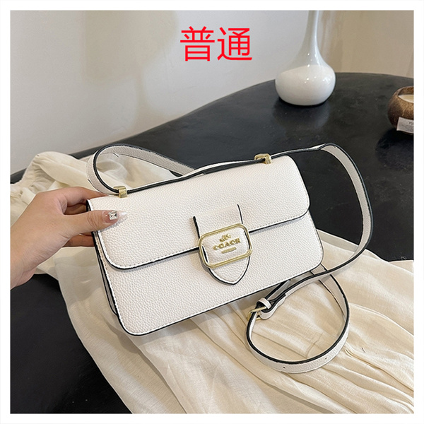 Coach small bag-0947