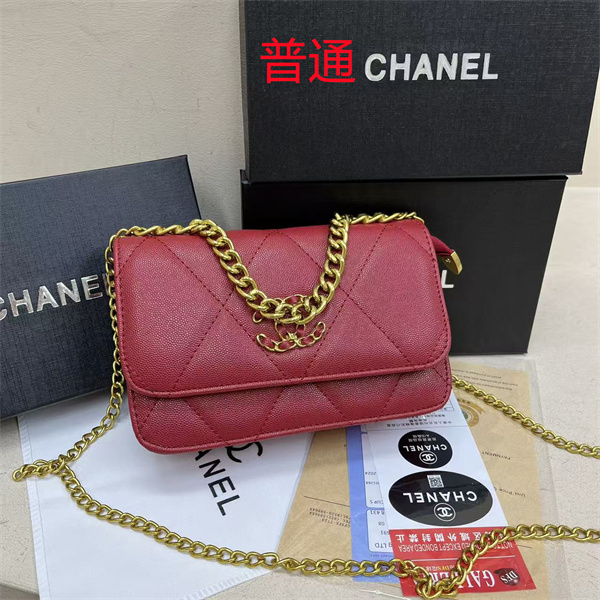Chanel small bag-0589