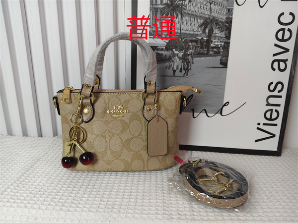 Coach small bag-0961