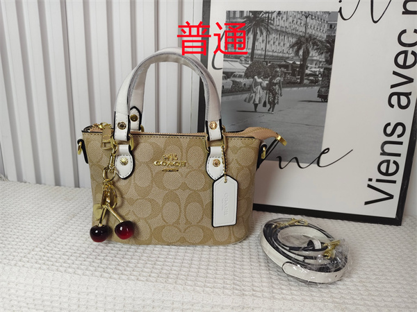 Coach small bag-0962