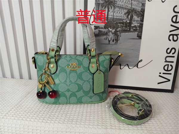 Coach small bag-0964
