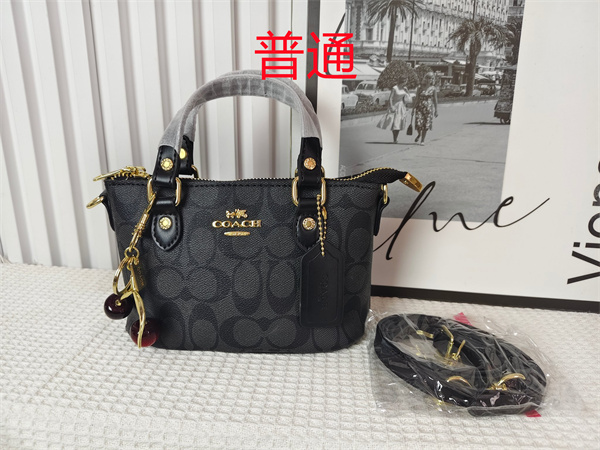 Coach small bag-0965
