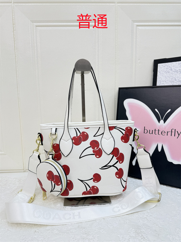 Coach small bag-0974