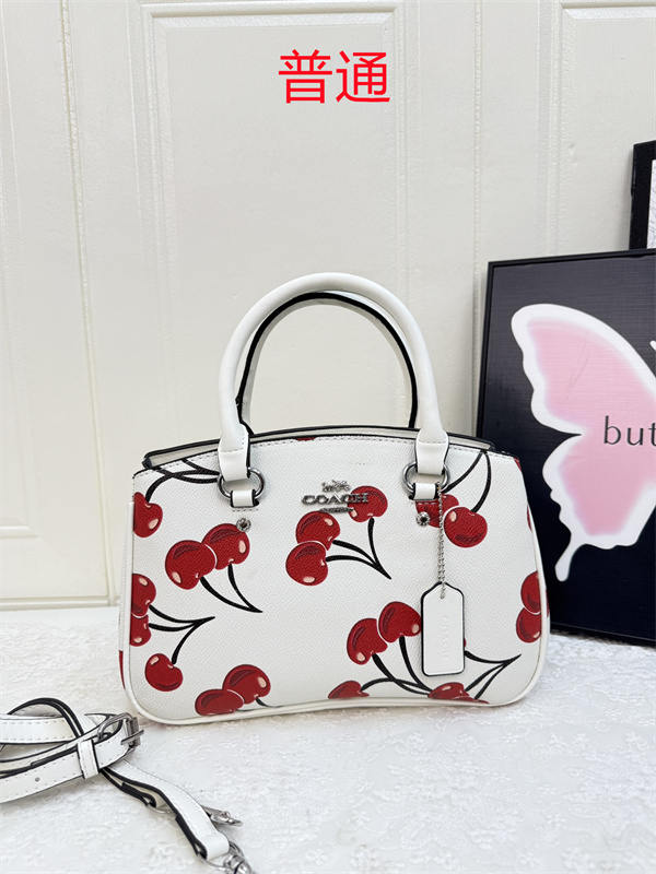 Coach small bag-0984