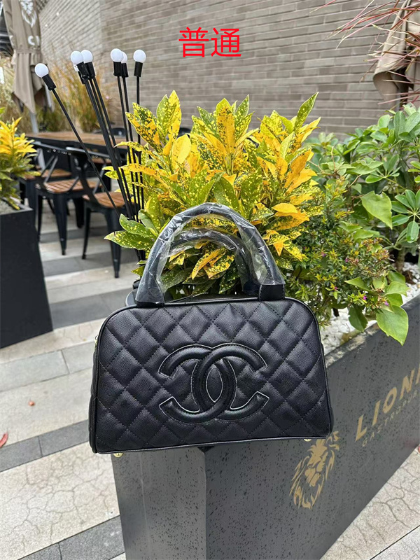 Chanel small bag-0642