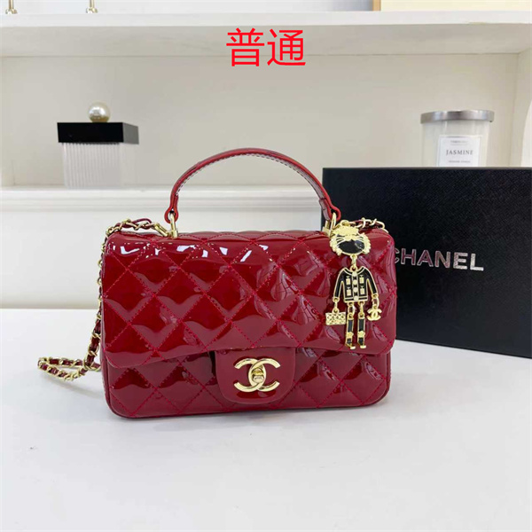 Chanel small bag-0646