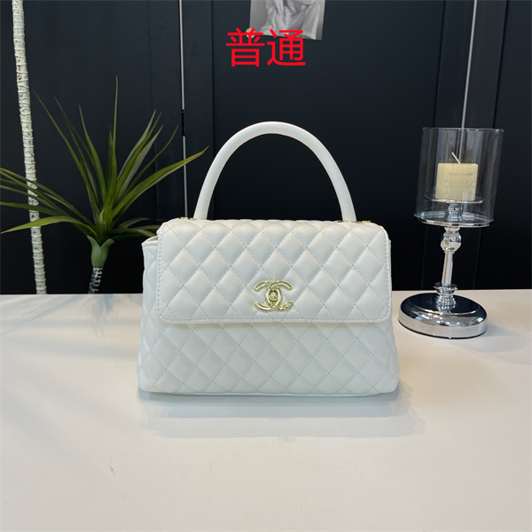 Chanel small bag-0651