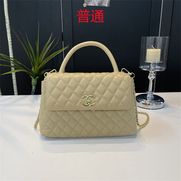 Chanel small bag-0653